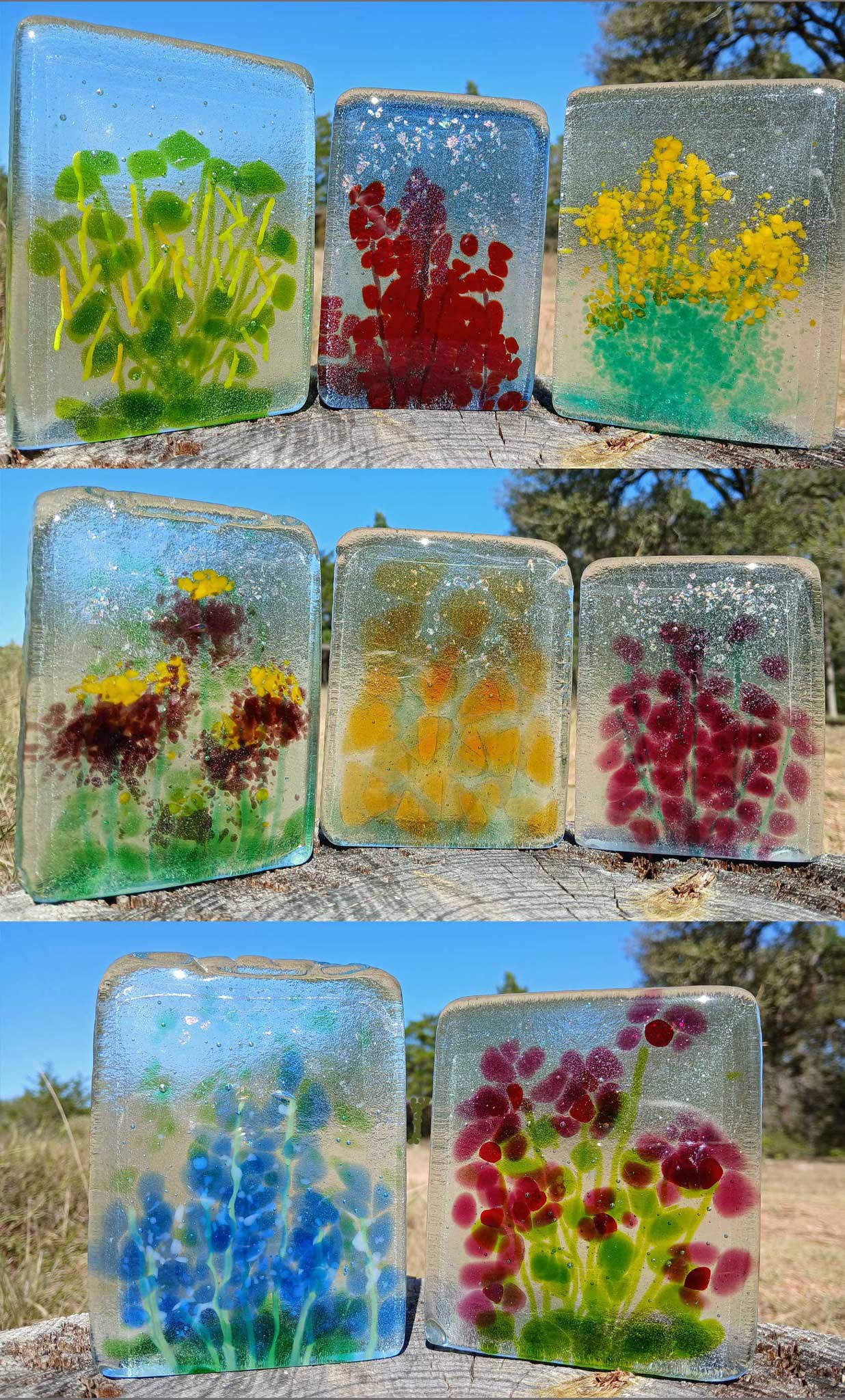 Texas Wildflower Series